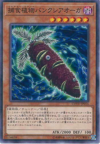 遊戯王 COTD-JP016 捕食植物バンクシアオーガ コード・オブ・ザ・デュエリスト COTD｜au PAY マーケット
