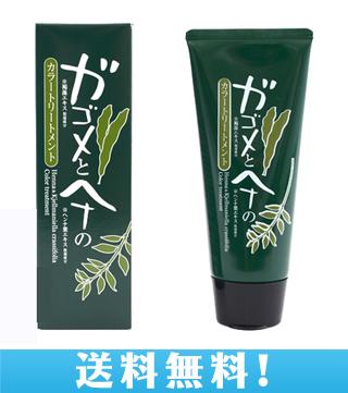 送料無料ガゴメとヘナのカラートリートメント 白髪染 ヘアカラー ヘアケア 髪 色付けの通販はau Wowma Flower