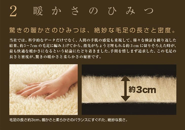 The PREMIUM Sofwool（ザ・プレミアム・ソフゥール) 敷き毛布セミダブル 120×205cm　送料無料