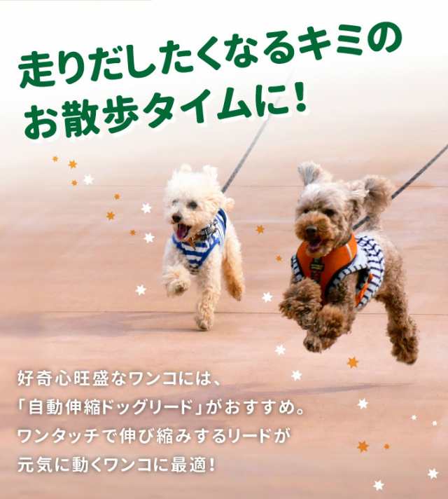 伸縮式 ペット リード ドッグ リード 3m 全3カラー 簡単にロック可能 小型犬 中型犬用 リール リードの通販はau Pay マーケット ガジェットグルメ