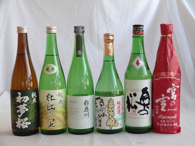 金賞受賞蔵 定番飲み比べ日本酒6本セット 720ml×6本【公式通販】