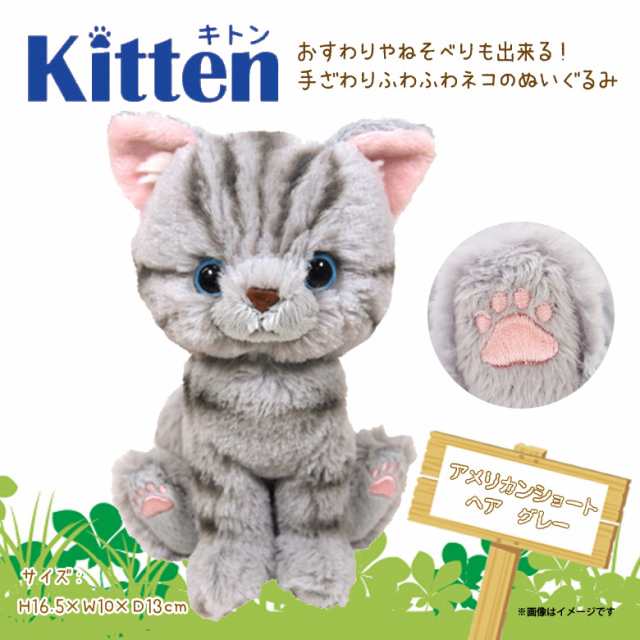 ぬいぐるみ 猫 キトン アメリカンショートヘア アメショ グレー Kitten P7521 サンレモンの通販はau Pay マーケット モバイルランド