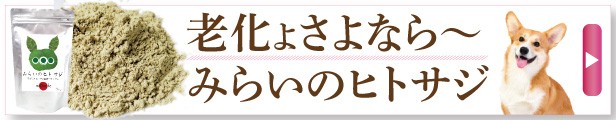 犬・猫 アレルギー サプリ(カユイの痒いの飛んで行け)無添加 痒み サプリメント【メール便 送料無料】の通販はau PAY マーケット - 犬 のご飯とケーキのドッグダイナー