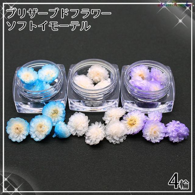 プリザーブドフラワー ソフトイモーテル 4輪 全3色 ドライフラワー レジン封入パーツ アロマワックスバー ハーバリウム花材の通販はau Pay マーケット あとりえほのか レジン ハンドメイド素材