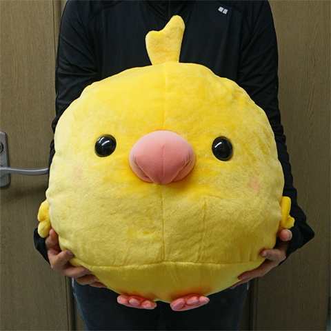 数量限定 オカメルチノー でかbigぬいぐるみ ヌイグルミ オカメインコ 鳥 人形 大きめの通販はau Pay マーケット 小動物専門店ヘヴン