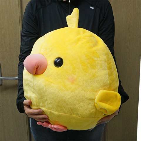 数量限定 オカメルチノー でかbigぬいぐるみ ヌイグルミ オカメインコ 鳥 人形 大きめの通販はau Pay マーケット 小動物専門店ヘヴン