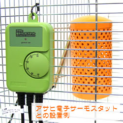 ペットヒーター 60w ハムスター ヒーター 保温 暖房 寒さ対策 暖める 冬 秋 リス モモンガ デグー チンチラ 小鳥 セキセイ ボタン 文鳥の通販はau Pay マーケット 小動物専門店ヘヴン