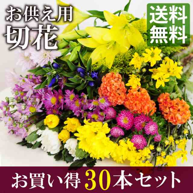 送料無料 お供え用 切花 Bセット 30本 法事 法要 お墓参り お盆 お供え 花 新盆 初盆の通販はwowma エーデルワイス 花の贈り物