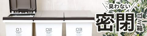 [中古]Deus⭐︎タッパー⭐︎MLサイズ⭐︎デウス⭐︎日本製タッパー タッパー・保存容器｜お店のカテゴリ｜生活雑貨マスト au PAY