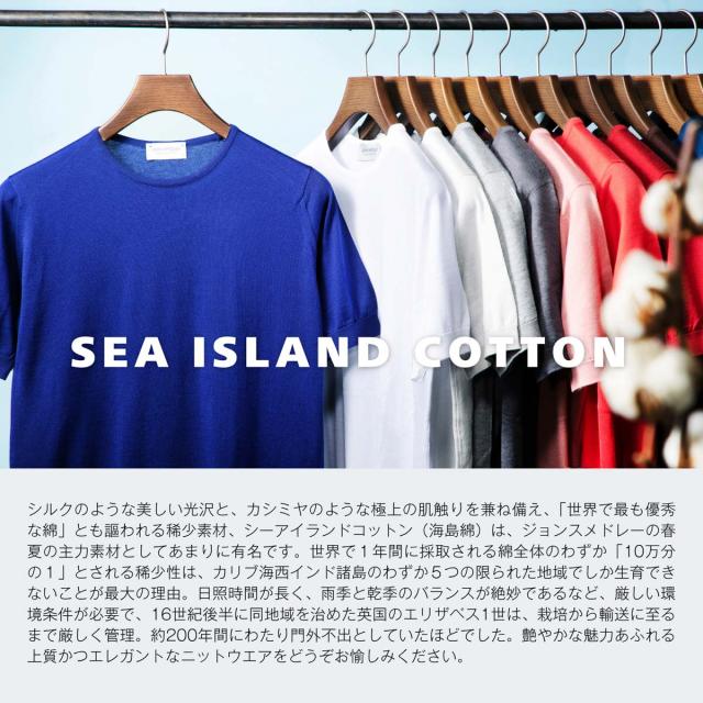 ジョンスメドレー JOHN SMEDLEY クルーネック 半袖ニット メンズ LORCA ロルカ シーアイランドコットン 30ゲージ STANDARD FIT_14