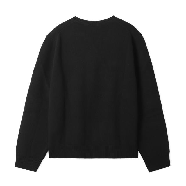 ロエベ LOEWE クルーネックニット セーター メンズ_1