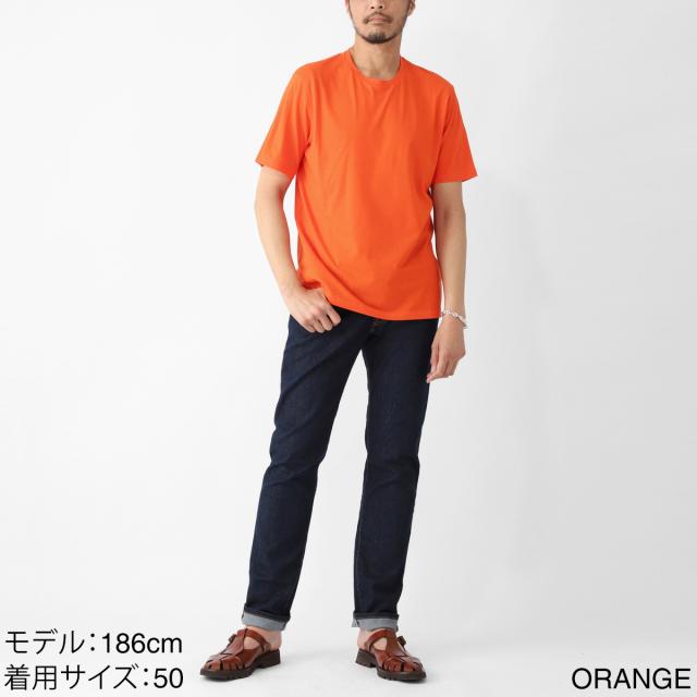 ヘルノ HERNO クルーネックTシャツ メンズ_2