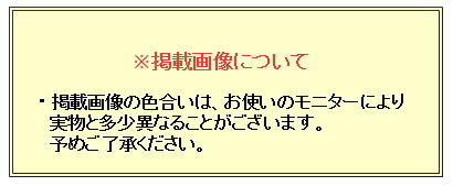 アダルトカジュアルシャツ [ROLLEI] 日本製 長袖 ホワイト系 ドット柄 綿100％ デザインシャツ ROL34346-1_4