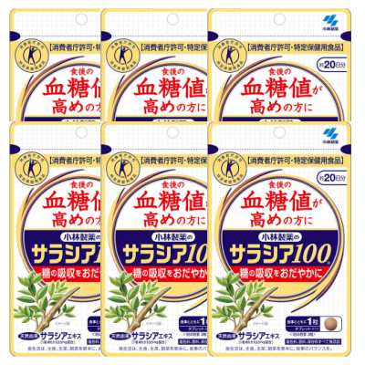 小林製薬 【6個セット】サラシア100 食後の血糖値が高めの方に(特定保健用食品) 約20日分 60粒 【お取り寄せ】(4987072039342-6)