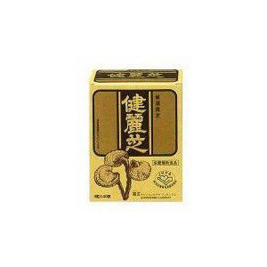 送料無料 健麗芝　4粒×40袋入り ・7700円以上お買上げで全国配送料無料