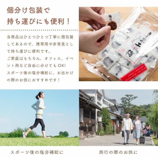 送料無料 ドライフルーツ 干し梅 種なし干 し梅 まろやか干し梅 500g x 1袋の通販はau PAY マーケット - おつまみ問屋