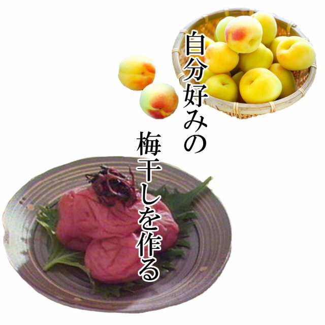 送料無料 もみしそ しその葉 赤しそ 梅干し用しその葉 国内産 500g X 5袋 生梅2kg用の通販はau Pay マーケット おつまみ問屋