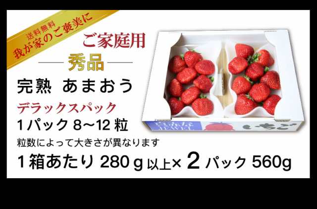 市場 ふるさと納税 DX上級品 合計約560g イチゴ 約280g×2パック入り 博多 予約 あまおう 苺 いちご