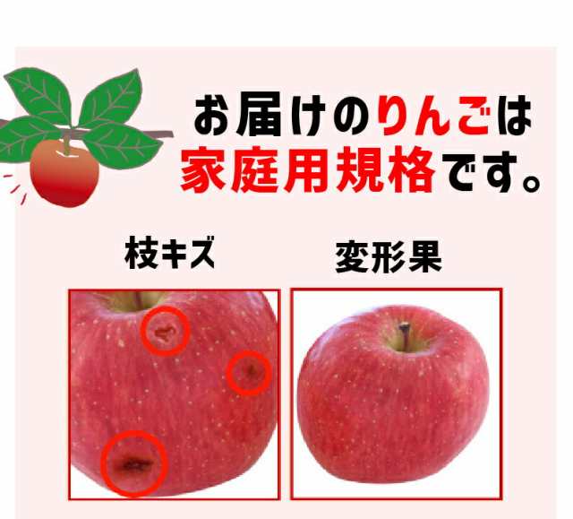 りんご 青森 葉とらず サンふじ ご家庭用 約6kg 約3kg×2箱(8～14玉) ちょっぴり 訳あり 送料無料 産直 世界が認めたリンゴ Y常の通販はau  PAY マーケット - くいしんぼうグルメ便