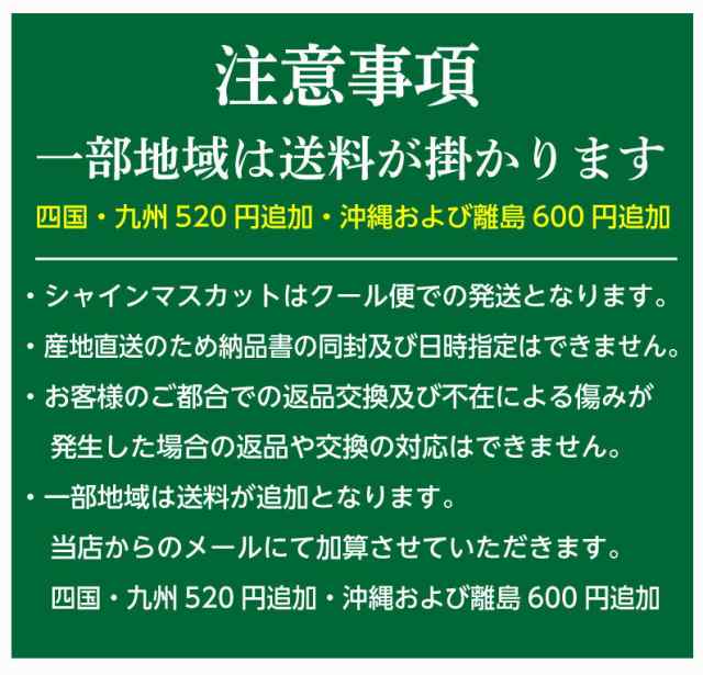 糖度20度前後　PAY　種無し・大粒　くいしんぼうグルメ便　ギフト　マーケット　２房(約1.6g)　シャインマスカット　プレゼント　au　山形県産　マーケット－通販サイト　特秀　送料無料　Y蔵の通販はau　PAY