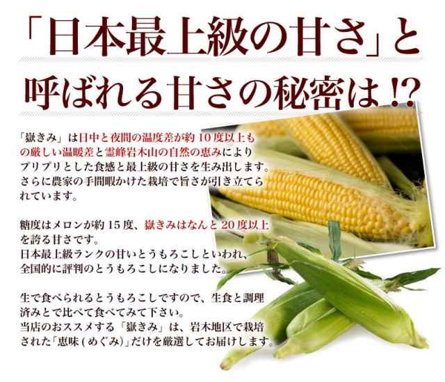 嶽きみ 青森県嶽産 とうもろこし 朝採り 2Lサイズ 10本