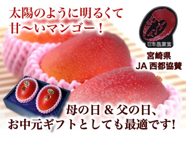 お中元 ギフト マンゴー ポイント10 宮崎マンゴー 太陽のタマゴ 初夏のフルーツ ２l玉 350 449g 2玉 太陽のたまご Ja西都光センサーの通販はau Pay マーケット くいしんぼうグルメ便