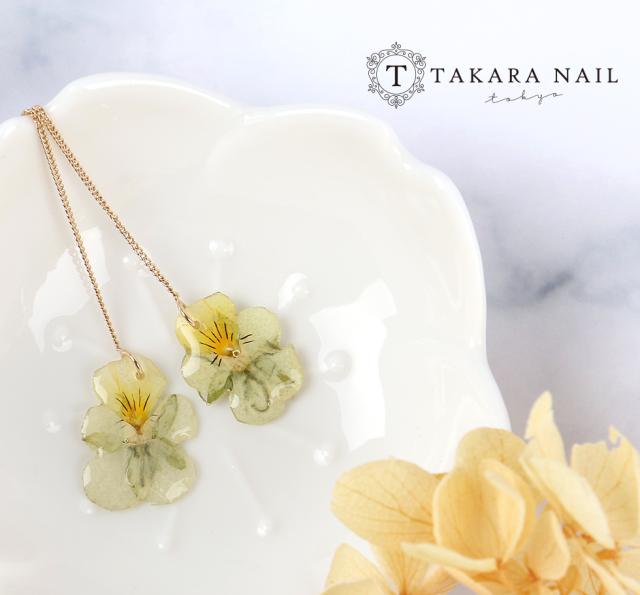 押し花 混合２色入り 天然色 着色剤不使用 ビオラ すみれ ３色スミレ パンジー メール便対応 レジンクラフト 手作り レジン の通販はau Pay マーケット タカラネイル