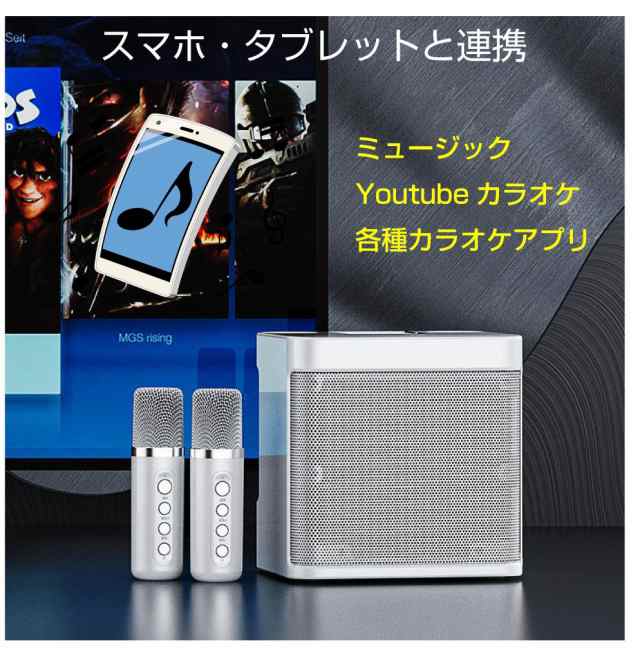 カラオケ マイク スピーカー ポータブル ミニカラオケボックス 全2色