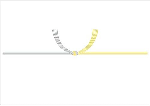 タカ印 のし紙 2-244 黄水引 京 B4判 100枚