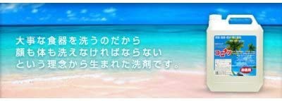 健康と環境をまもるココナッツ洗剤「ココナツ」 4L×4個セット