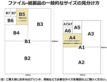 Gクラッセ MONOCHROME クリアーポケット 黒台紙入り A4S-30穴