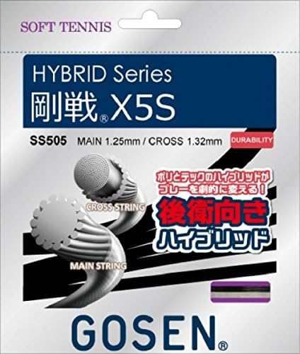 ゴーセン(GOSEN) 剛戦X5S SS505