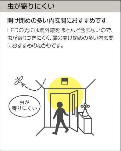 大光電機 DAIKO LED小型シーリング LED内蔵 虫が入りにくいタイプ 明る