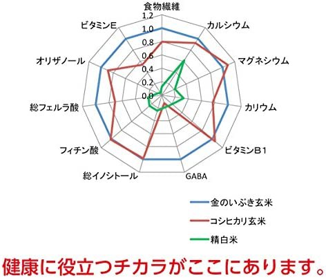 玄米食用 PREMIUM 玄米 金のいぶき 5kgの通販はau PAY マーケット - CELFEE | au PAY マーケット－通販サイト