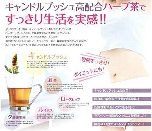 ポッコリすっきり茶 30包×3袋セットの通販はau PAY マーケット