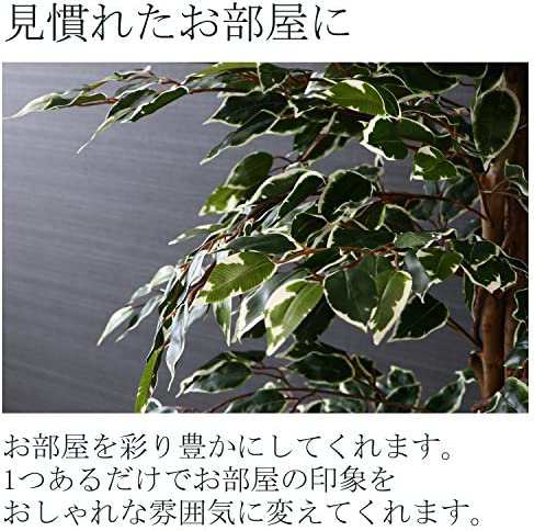 不二貿易 観葉植物 フェイク 大型 幅90×奥行90×高さ170?p 造花