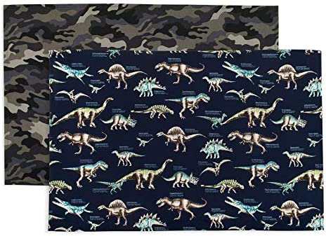 ランチョンマット 男の子 子供 布製 おしゃれ 給食 綿 2枚組 恐竜・迷彩セット カラフルキャンディスタイル N3601922