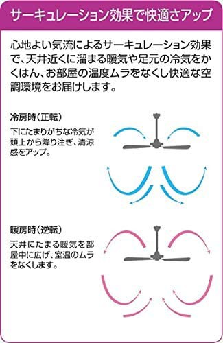 大光電機(DAIKO)シーリングファン 灯具なし 簡易取付式 ASN-014 ブラック-