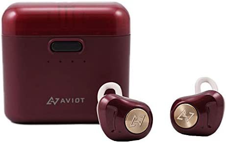 【送料無料】AVIOT アビオット 日本のオーディオメーカー TE-D01d Bluetooth イヤホン グラフェンドライバー搭載 完全ワイヤレス QCC3026