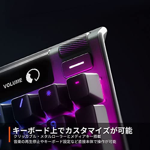 SteelSeries ゲーミングキーボード 赤軸 有線 日本語配列 有機EL