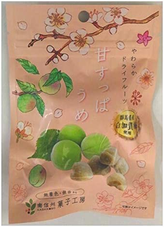 南信州菓子工房 ひとくち甘すっぱうめ 20g ×10袋