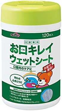 ケアハート口腔専科 お口キレイウェットシートN120枚入