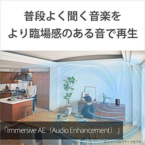 ソニー 360 Reality Audio認定ワイヤレススピーカー SRS-RA3000 : 360