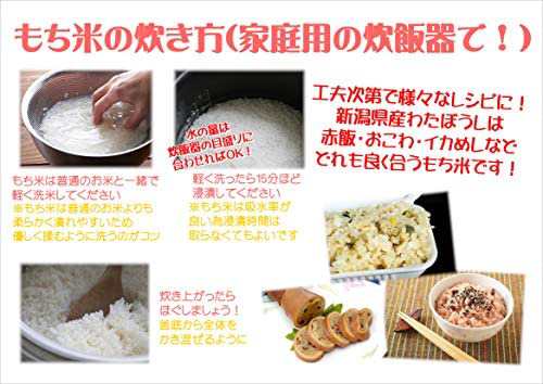 新潟県産 もち米 わたぼうし 5kg 令和3年産 令和4年産