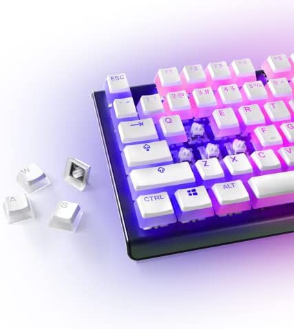 【送料無料】SteelSeries PRISMCAPS ダブルショット プリンスタイル キーキャップ 丈夫なPBT熱可塑性エラストマー 幅広いメカニカルキー