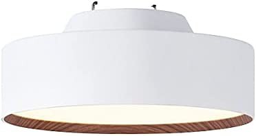 【送料無料】ARTWORKSTUDIO Glow mini LED ceiling lamp ホワイト+ライトウッド LED内蔵型 非防水 AW-0578E
