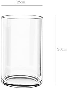 高価 円柱 花瓶 大 フラワーベース ガラス クリア シリンダー 北欧