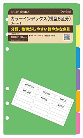 レイメイ藤井 システム手帳 リフィル 聖書サイズ DR44551 カラー