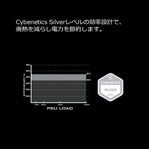 Silver Stone GM600-S リダンダント電源 CYBANETICS SILVER 認証 600+