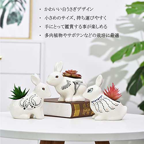 詩真 うさぎの植木鉢 陶器 多肉植物鉢 シンプル 動物 かわいい 白（4号